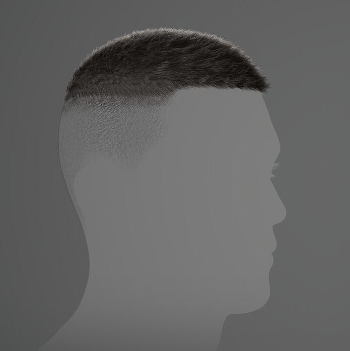 High-fade Buzz