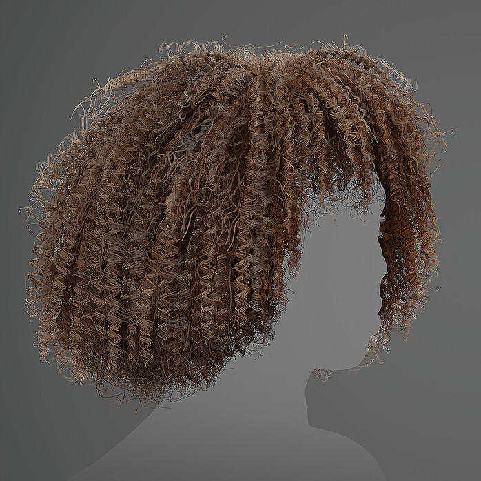 Curly Afro